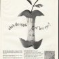 1961 Ladies' Home Journal Ad "apple of her eye"