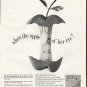 1961 Ladies' Home Journal Ad "apple of her eye"