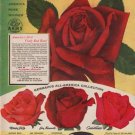 1953 Germain's Ad "Chrysler Imperial Rose"