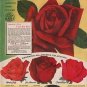 1953 Germain's Ad "Chrysler Imperial Rose"