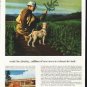 1958 Weyerhaeuser Timber Company Ad "ready for planting"