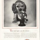 1956 National Board of Fire Underwriters Ad "the answer"