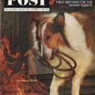 1964 Saturday Evening Post Cover Page "Lassie" ~ October 3, 1964