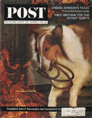 1964 Saturday Evening Post Cover Page "Lassie" ~ October 3, 1964