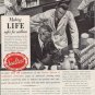 1937 Sealtest System Ad "Safer For Millions"