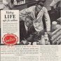 1937 Sealtest System Ad "Safer For Millions"