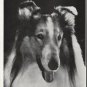 1964 The saga of Lassie Article ~ by Vernon Scott