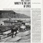 1965 Bill Cosby Article "Variety is the Life of Spies"