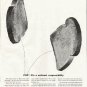 1961 Electric Light and Power Companies Ad "POP"