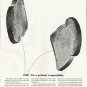 1961 Electric Light and Power Companies Ad "POP"