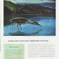 1959 Weyerhaeuser Company Ad "farming trees"