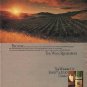 1980 Ernest & Julio Gallo Ad "Because"