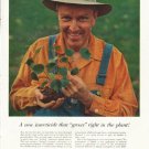 1958 American Cyanamid Company Ad "A new insecticide"