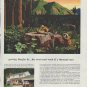 1958 Weyerhaeuser Timber Company Ad "growing Douglas fir"
