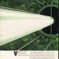 1980 Food For Tomorrow Article "odd pods"