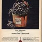1965 Mogen David Wines Ad "If you like grapes"