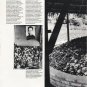1980 Pol Pot Genocide Article ~ Pity and Horror of Cambodia