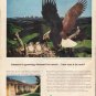 1961 Weyerhaeuser Company Ad "demand for wood"