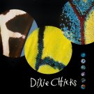 dixie chicks fly 1999 cd - texas girl band country folk blues rock goodbye earl