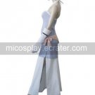 Fairy Tail Adult Lisanna Cosplay Costume