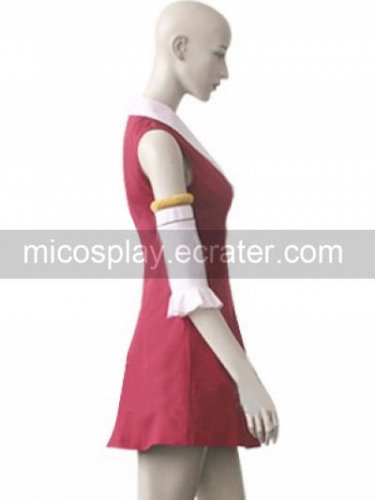 Fairy Tail Lisanna Cosplay Costume