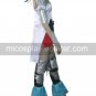 Final Fantasy XII Ashe Cosplay Costume