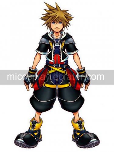 Kingdom Hearts Sora Halloween Cosplay Costume