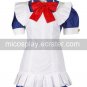 Battle Vixens Cosplay Costume