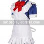 Battle Vixens Cosplay Costume