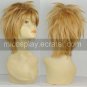 Axis Powers Sweden Berwald Oxenstierna Cosplay wig