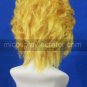 Code Geass Britannia Cosplay wig