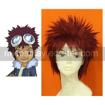 Digimon Daisuke Davis Motomiya Custom Made Cosplay Wig