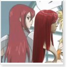 Fairy Tail Erza Scarlet Cosplay Wig