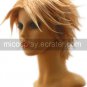 Final Fantasy X Tidus 25cm Cosplay Wig