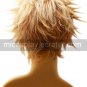 Final Fantasy X Tidus 25cm Cosplay Wig