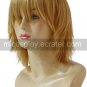 Final Fantasy X Tidus Cosplay Wig