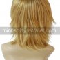 Final Fantasy X Tidus Cosplay Wig