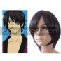 Takasugi Shinsuke wig from gintama