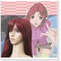 Gundam Seed Fllay Allster Cosplay Wig