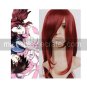 Mobile Suit Gundam SEED Flay Allster Cosplay wig