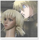 Hellsing Seras Victoria Cosplay Wig