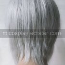 Katekyo Hitman Reborn Gokudera Hayato cosplay wig
