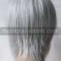 Katekyo Hitman Reborn Gokudera Hayato cosplay wig