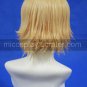 The King of Fighters Cosplay wig