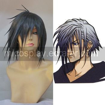 Kingdom Hearts Zexion cosplay wig