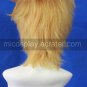 Kin'iro no Corda Setsuna F Seiei Cosplay Wig