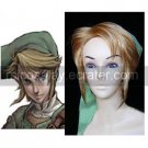 The Legend of Zelda Link Cosplay Wig