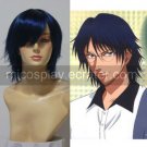 Prince of Tennis Yushi Oshitari wig