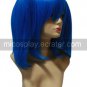 Project Kawashiro Nitori Cosplay Wig