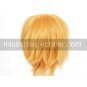 35cm Vampire Knight Ichijou Takuma Nylon Cosplay Wig
